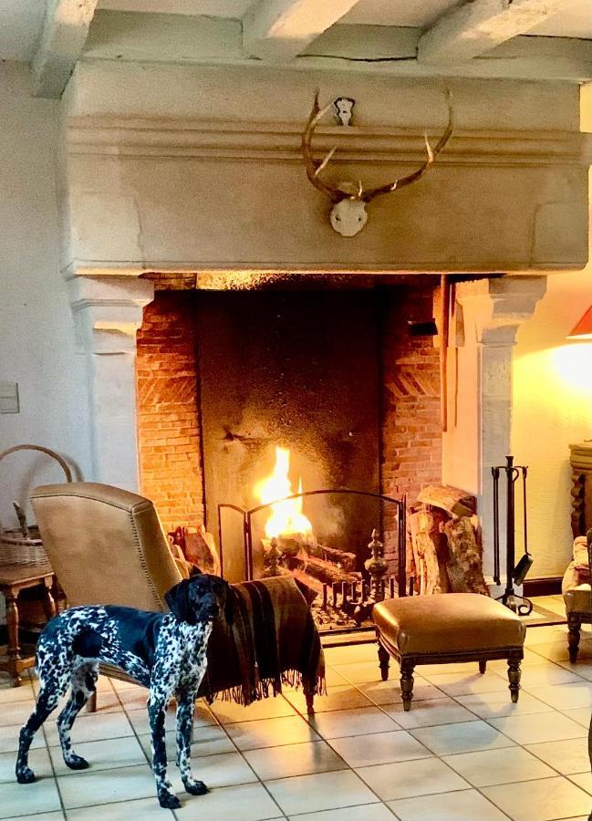 Logis De La Touche Bed & Breakfast Saint-Hilaire-des-Loges Bagian luar foto