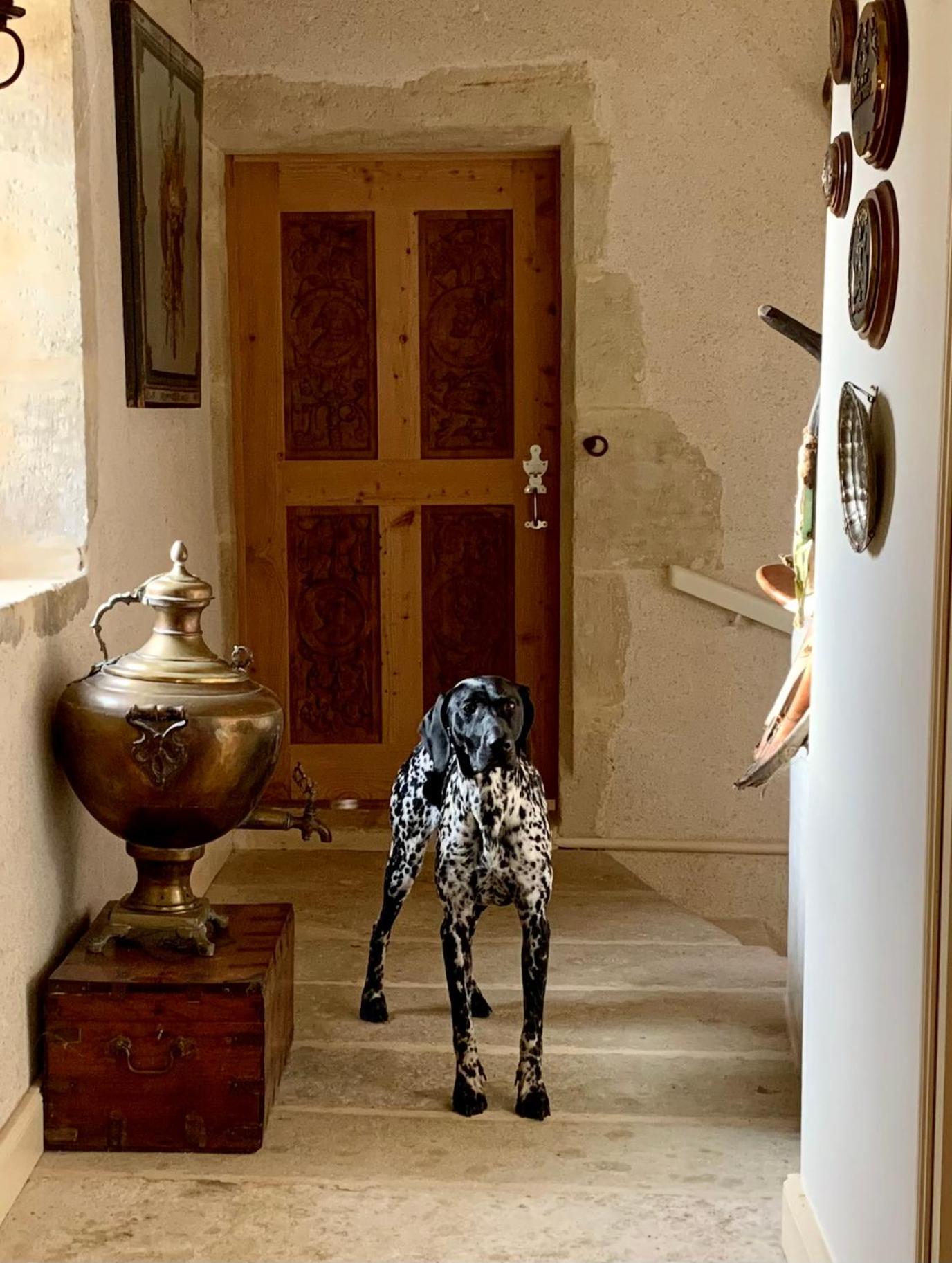 Logis De La Touche Bed & Breakfast Saint-Hilaire-des-Loges Bagian luar foto